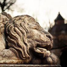 lviv tour entitled lviv lion hunt